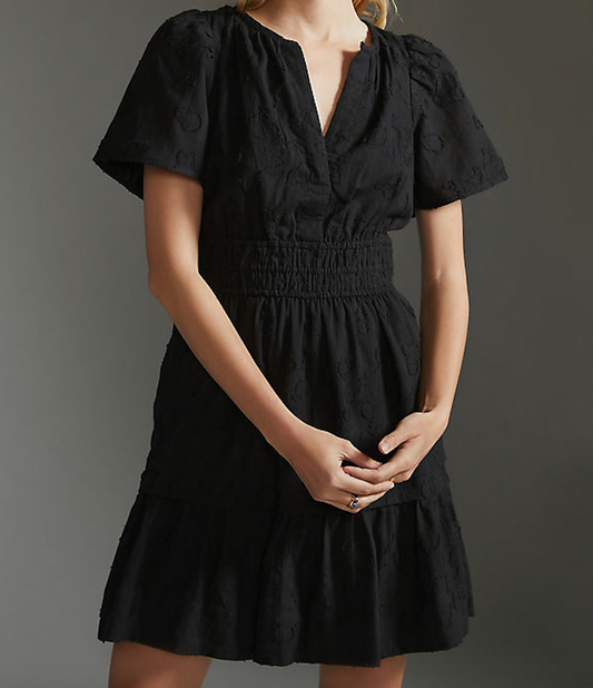 Anthropologie Somerset Mini Dress (M)
